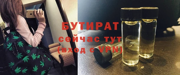 твердый Новозыбков