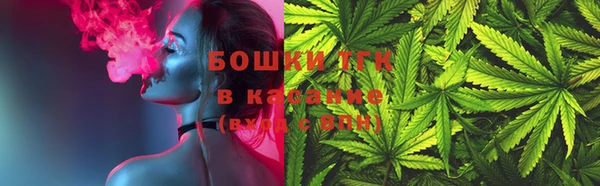 хмурый Алзамай