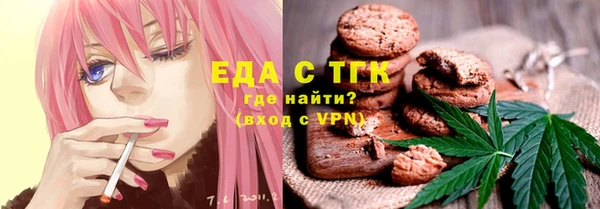 хмурый Алзамай